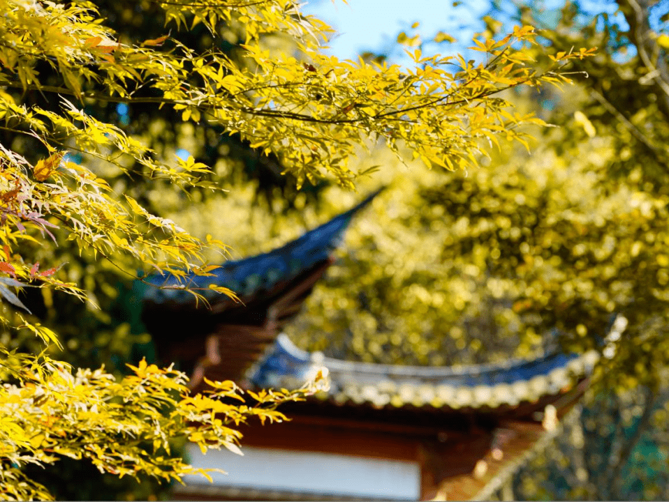 接下来,巢湖的山水是这样的_公园_景区_东庵