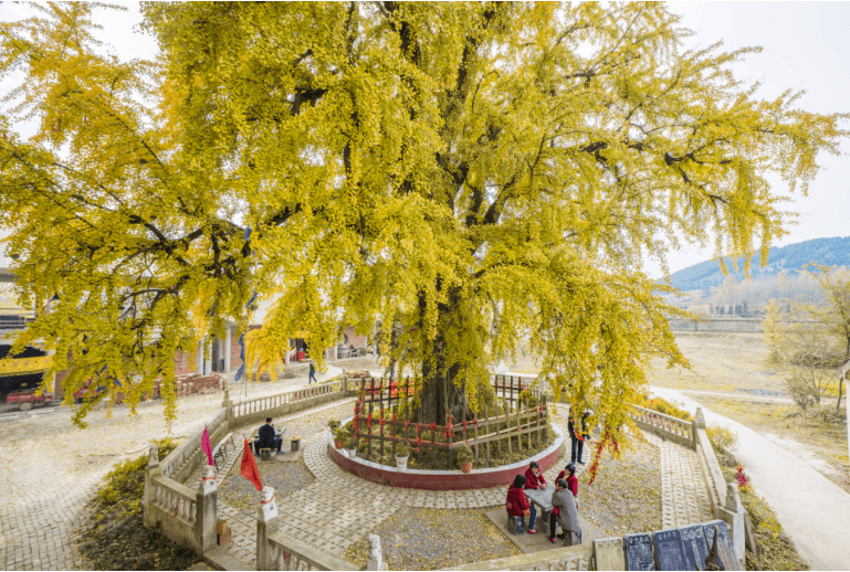 接下来,巢湖的山水是这样的_公园_景区_东庵