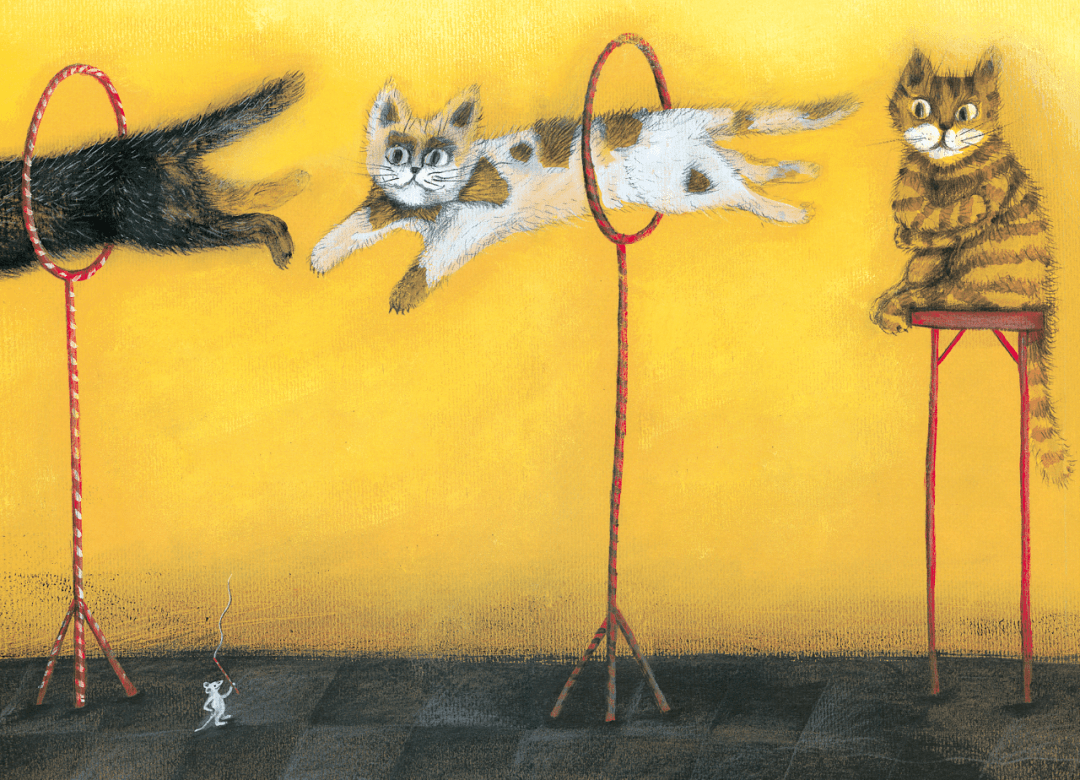 一是抱着暖手宝的,二是抱着暖手猫的,我是第三种,在养只猫还是买个暖