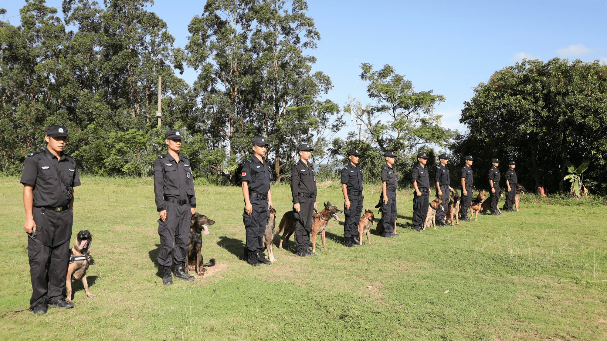 公安局警犬基地图片