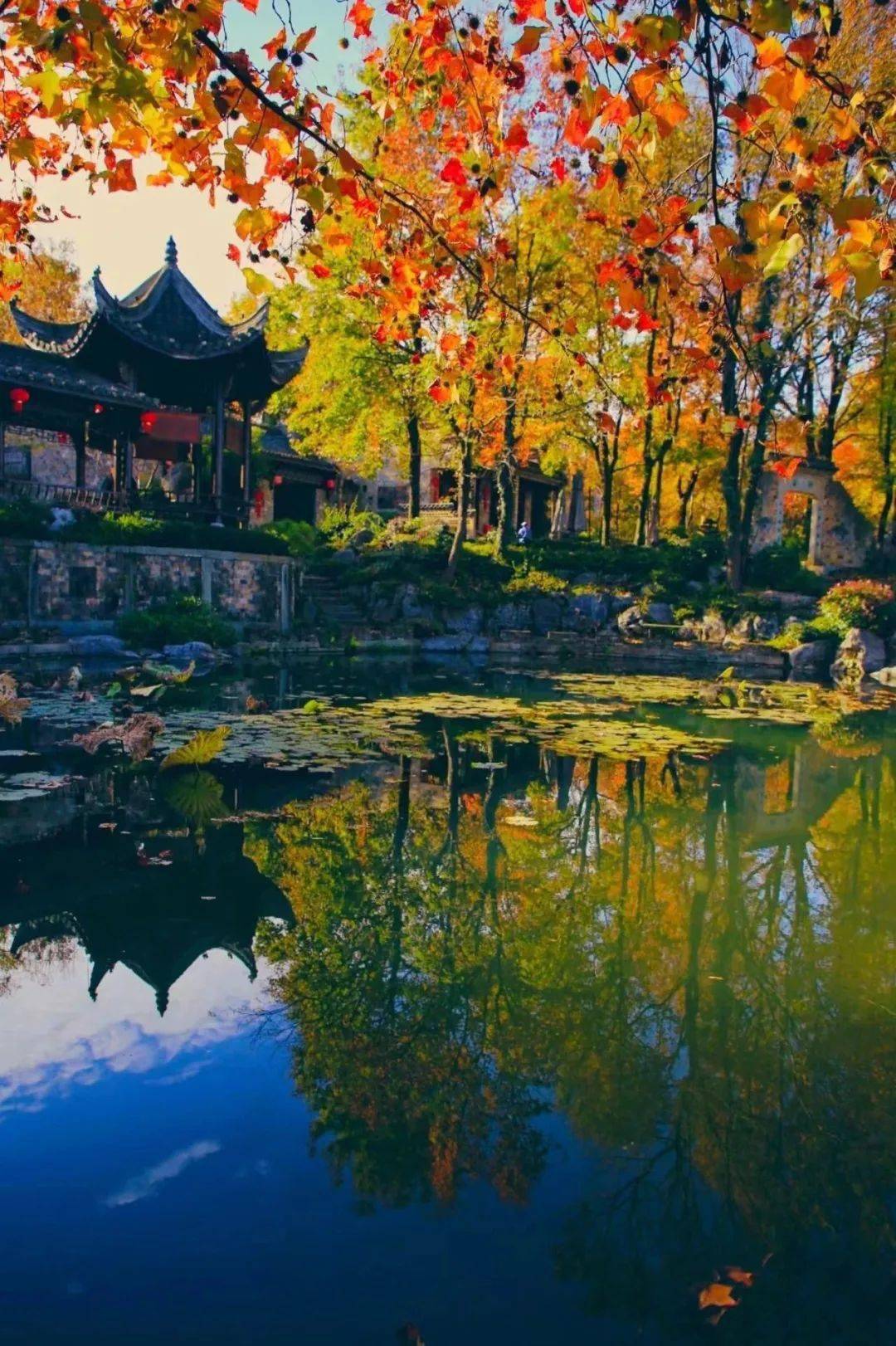 永泉枫叶节 | 巨型枫叶出没!快来打卡拍照!_活动_地点_赏枫