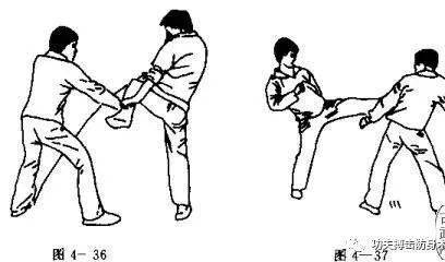 侧鞭腿实战用法图文教学_动作_用途_要点