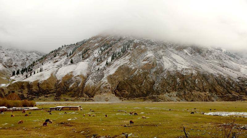 乌鲁木齐石人沟瑞雪如画