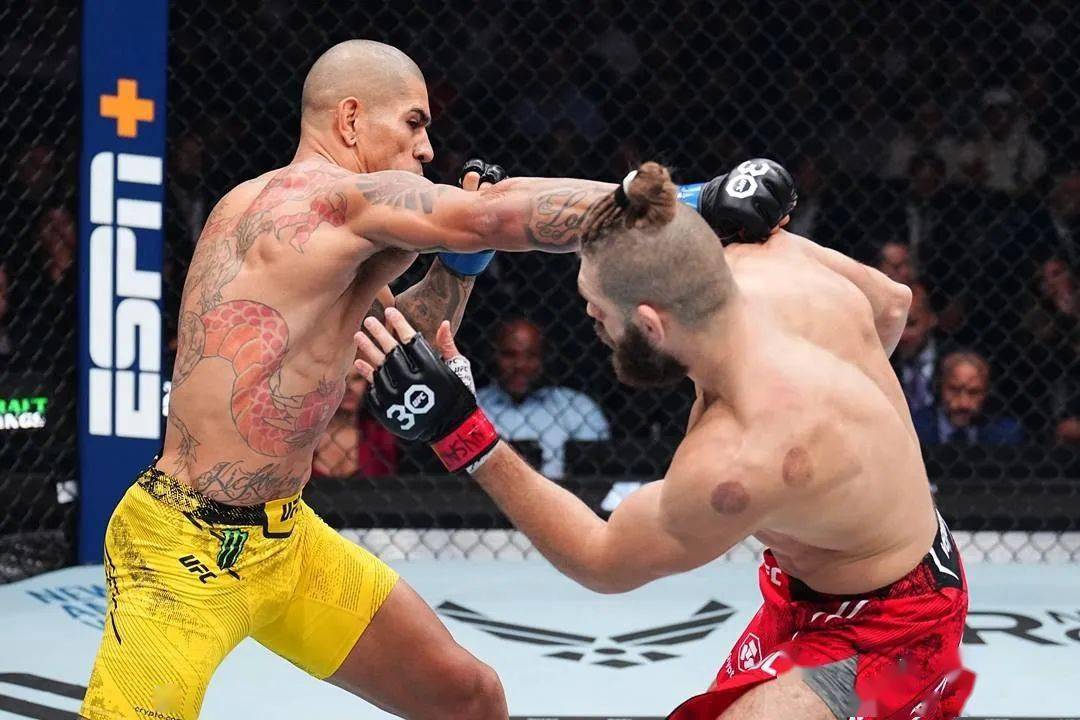 ufc295综述:佩雷拉,汤姆ko对手成新任冠军_普罗哈兹卡_安德拉德_邓恩