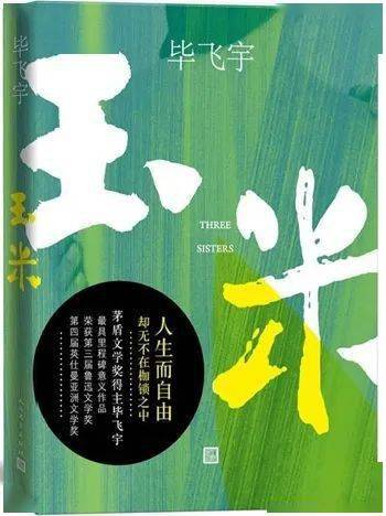 专访著名作家毕飞宇:问题是生活的福利_小说_傅睿_作品