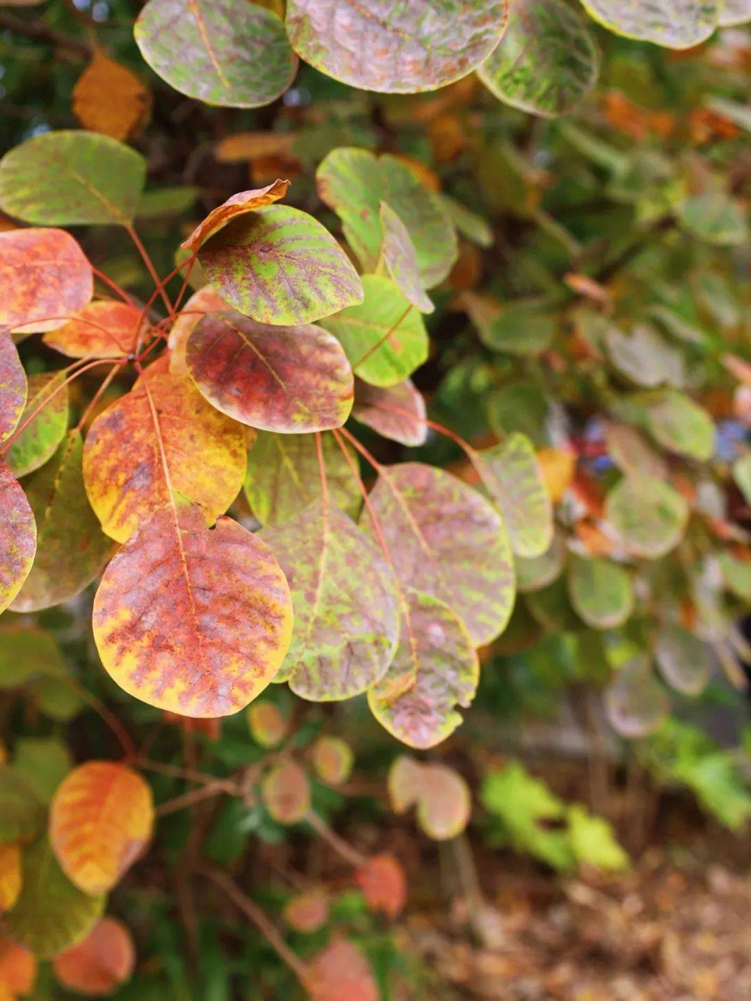初冬的风与千佛崖撞了满怀,生出无限期待_石雕_江风微_罗汉