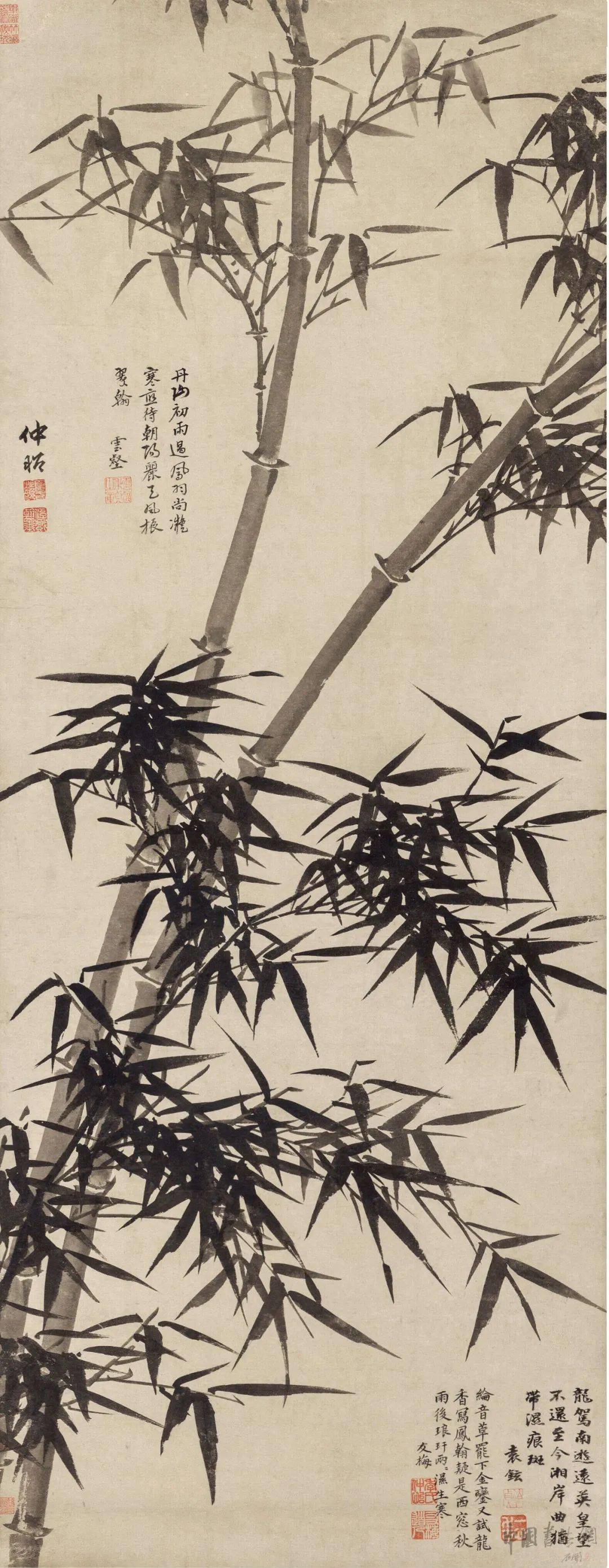 赏画| 夏昶《风雨对竹图》_周廷_竹泉_周季宏