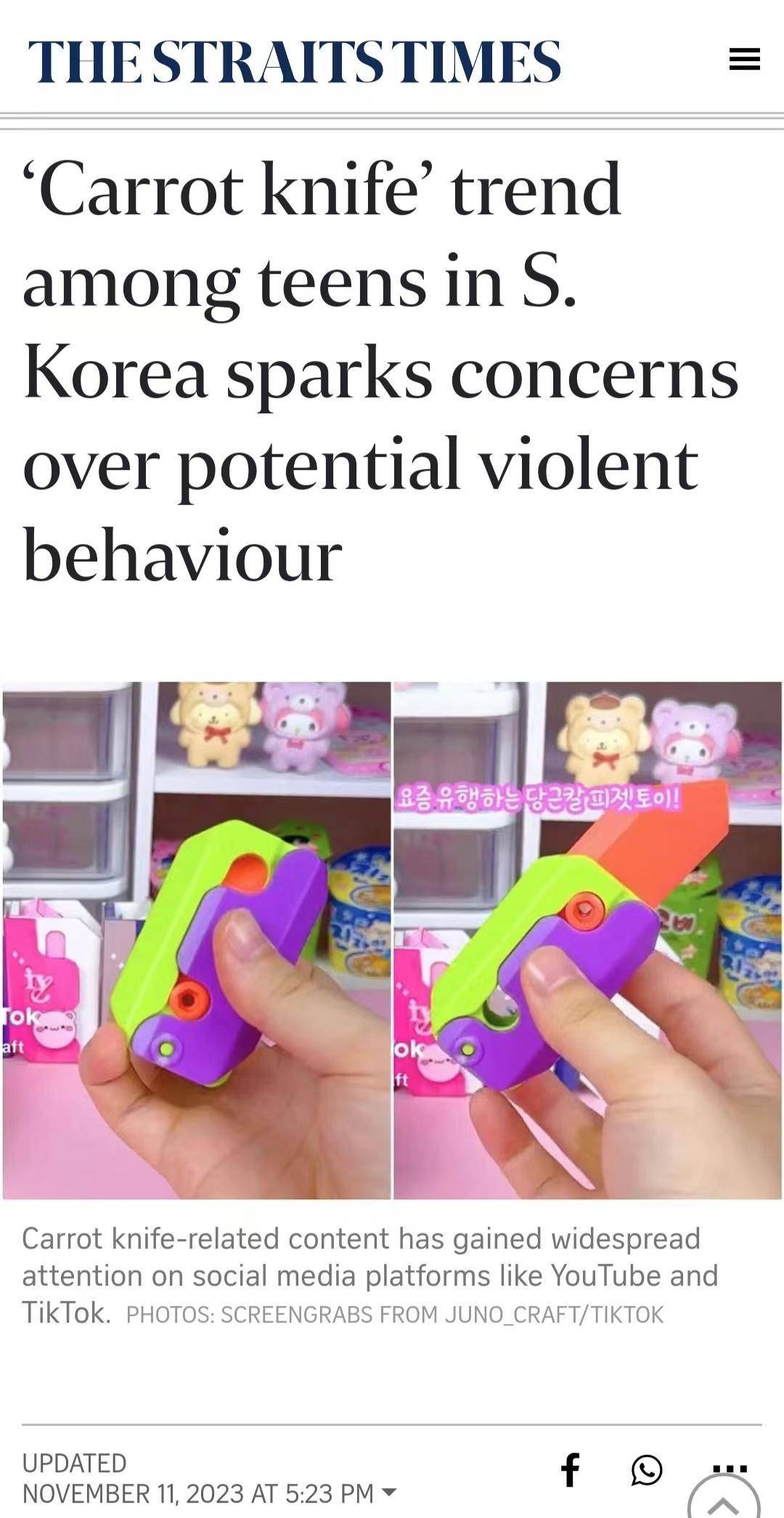 韩国中小学也流行萝卜刀，它为何让小学生如此痴迷？丨看天下_搜狐网