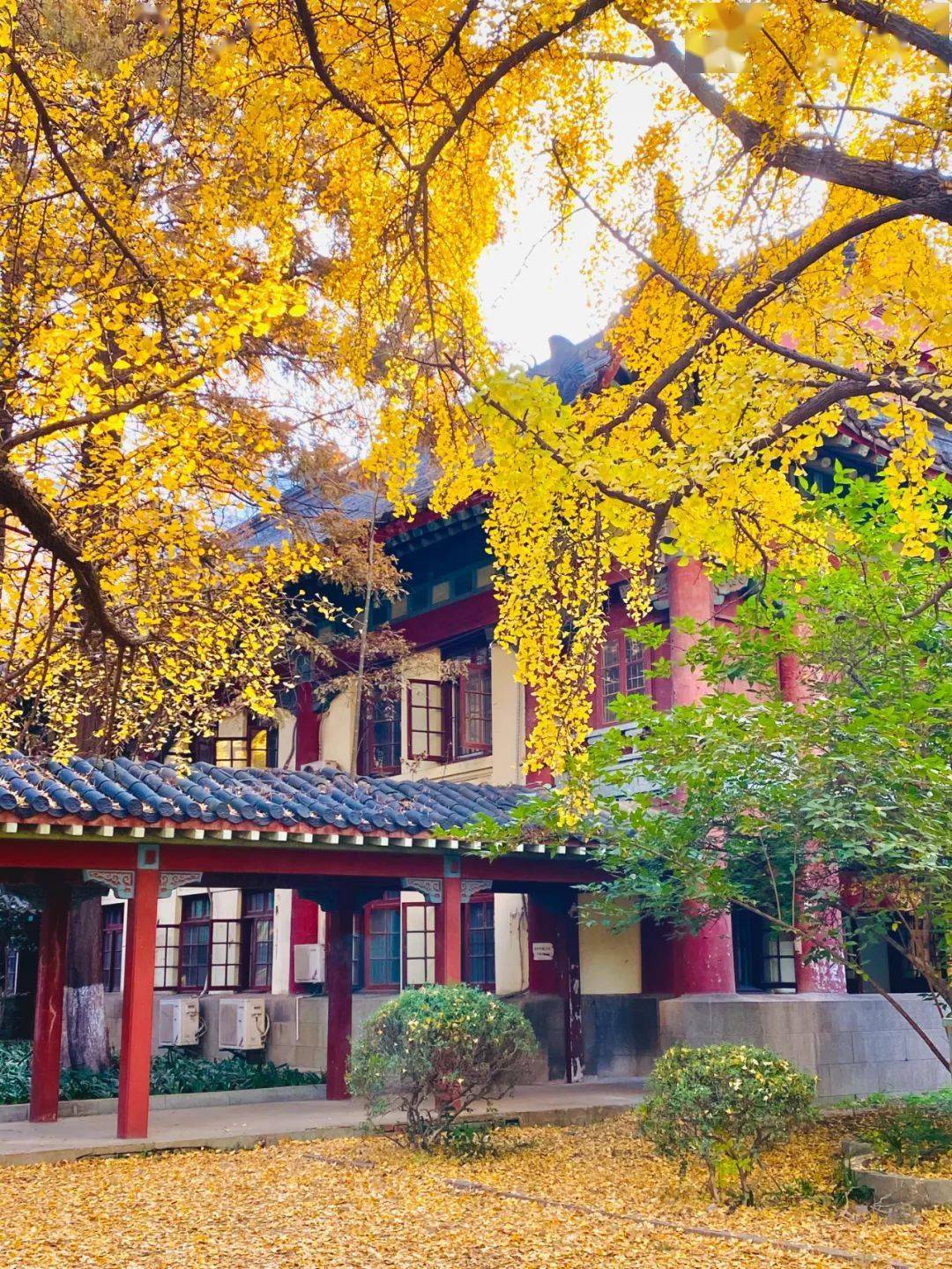 北京师范大学南湖图片