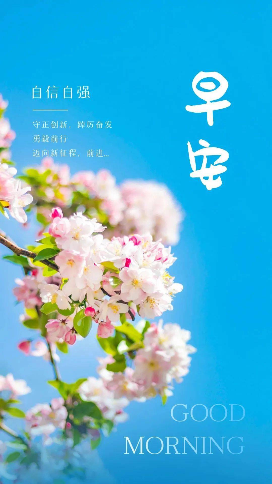 11月15日早安图片最新