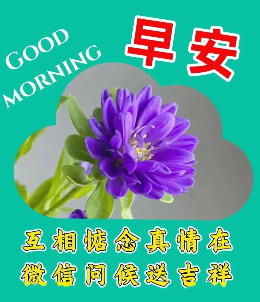 今日最新早安早上好精选,1515牵挂在心中,祝福永相伴_问候_是一种