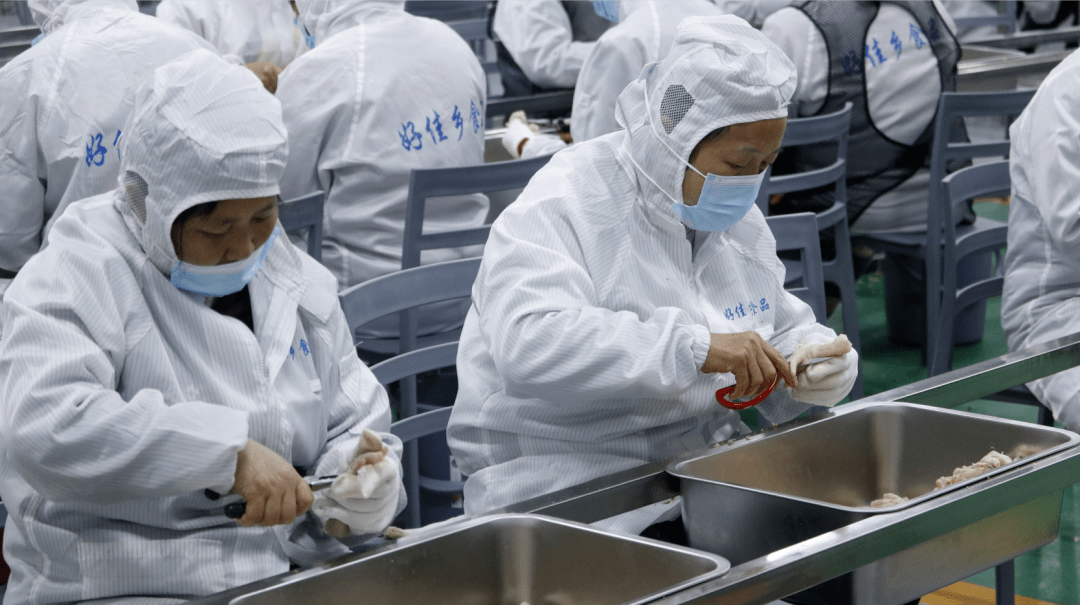 沙湾这家企业正式投产→_鸡爪_沙湾区_加工