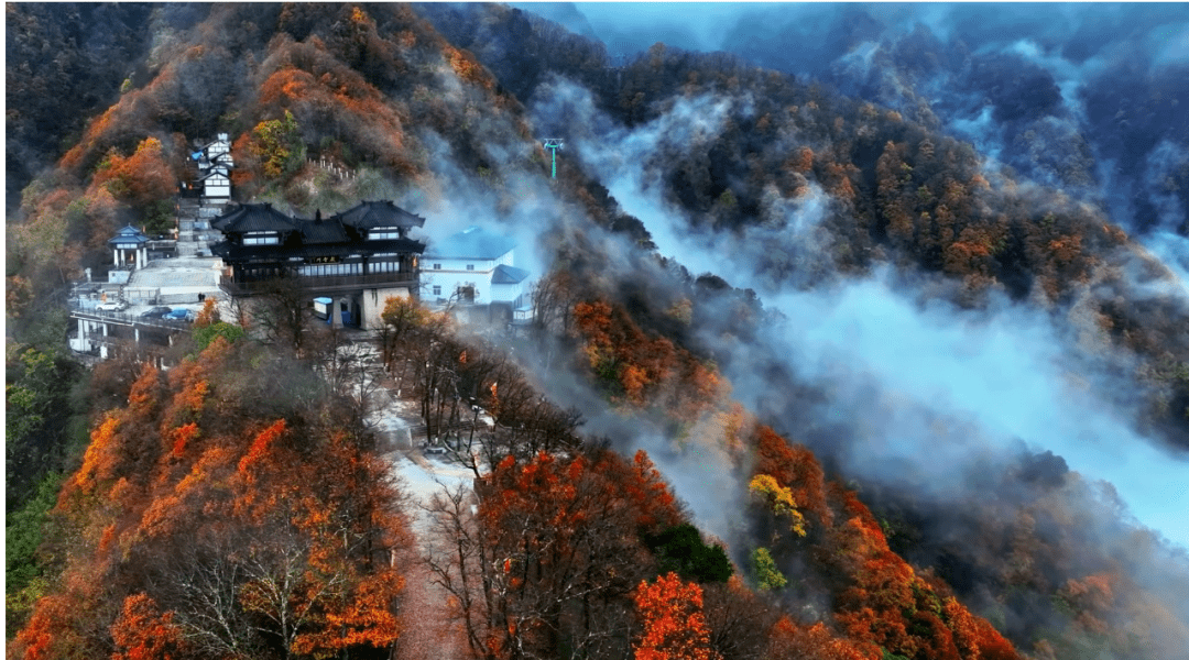超出片!_阳光_图片_美食