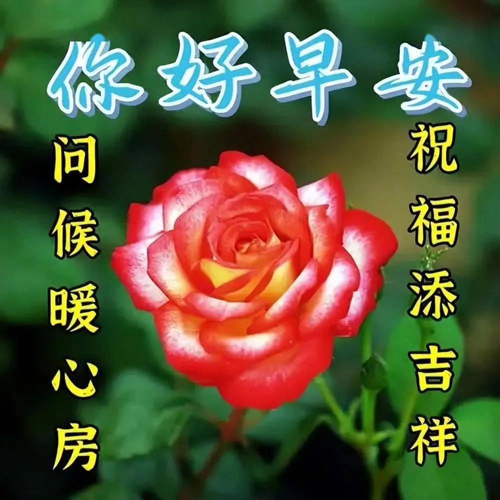 周五最新早上好祝福图片精选,愿你好运常伴,幸福美满把你罩!