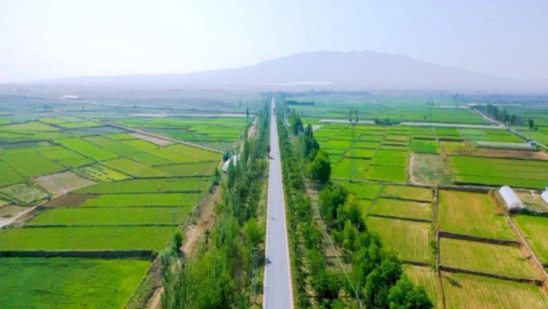 红寺堡区中航路荣获"第三届全国美丽乡村路"_旅游_吴忠市_发展