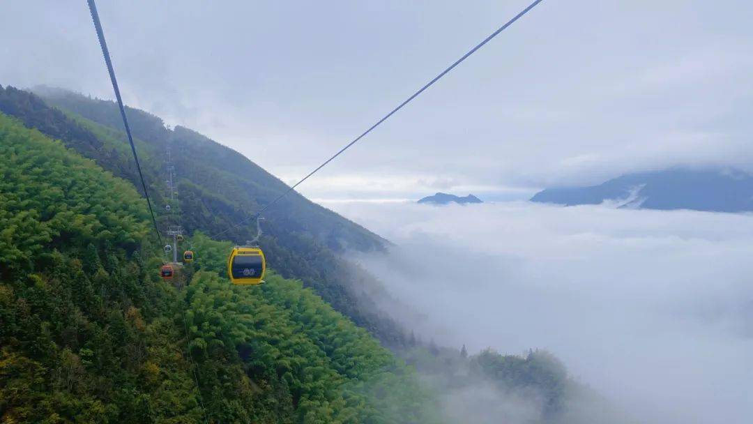 长寿之乡浙江丽水:云和梯田,"中国旅游奥斯卡"金奖!_投资_景区_刘丽莉