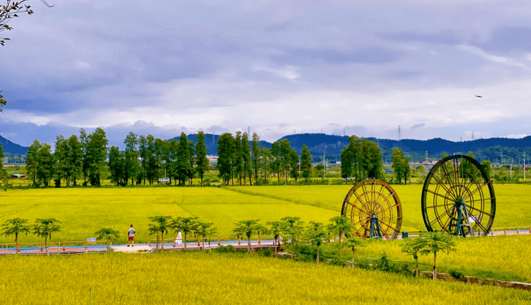 中山旅游景点大全介绍图片