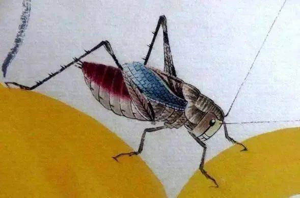 齐白石画的蝈蝈和蝗虫,美_国画_写意_花鸟