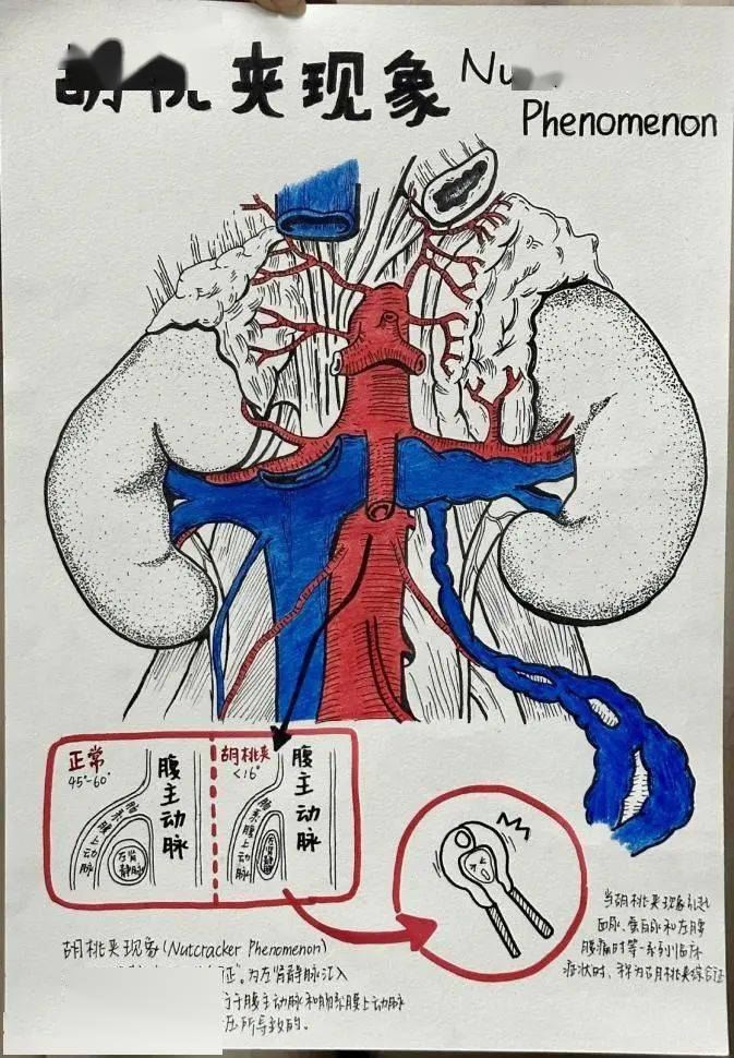 关于医学的绘画作品图片