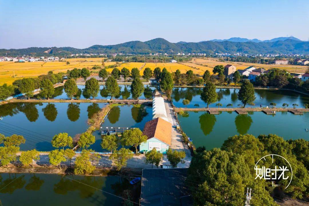 它地位於馬渚鎮四聯村,基地面積300餘畝,不僅是國家級健康水產養殖