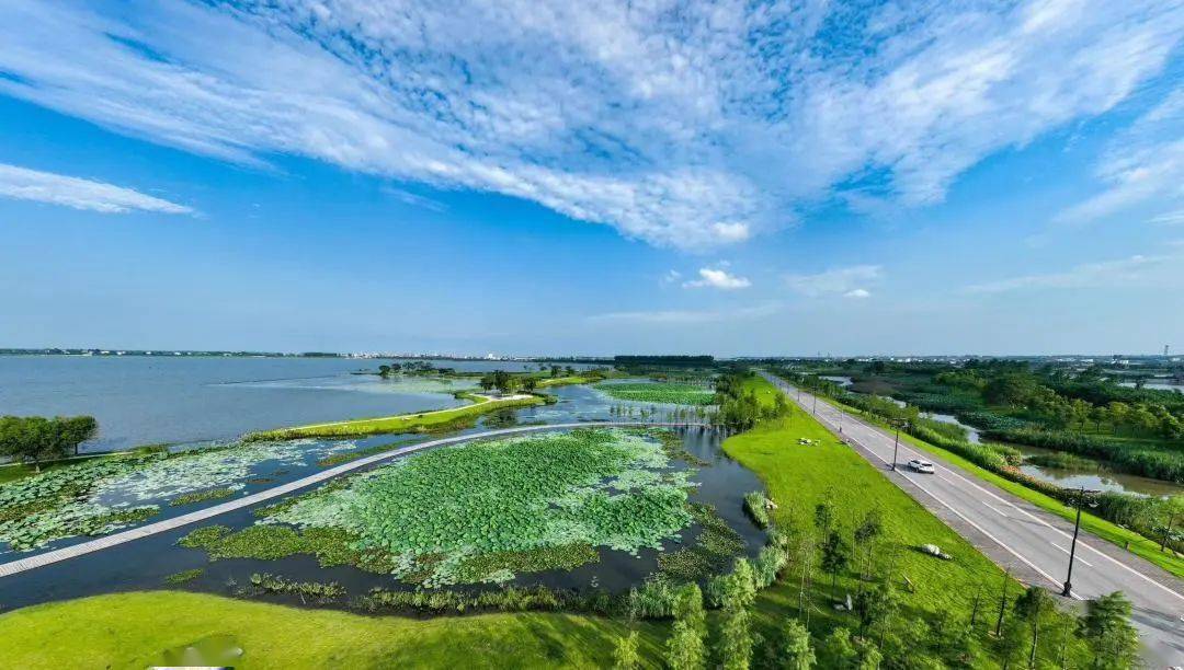 金湖国家湿地公园是湖北省科普教育基地,长江经济带"美丽湖泊",也是g