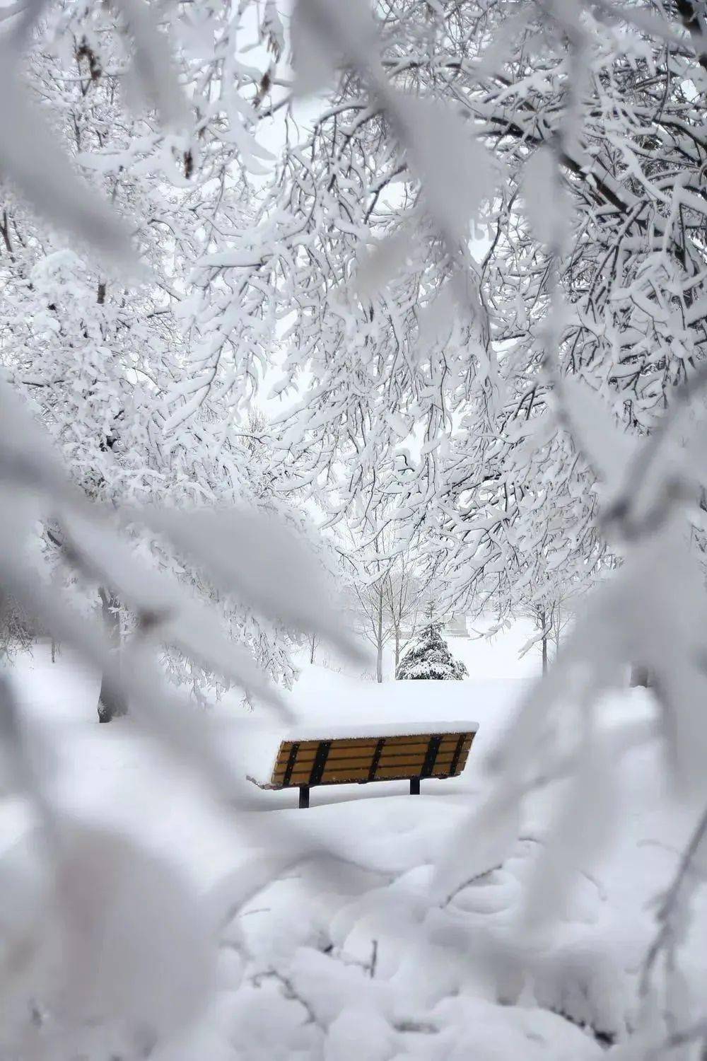 雪唯美伤感意境雪景图片