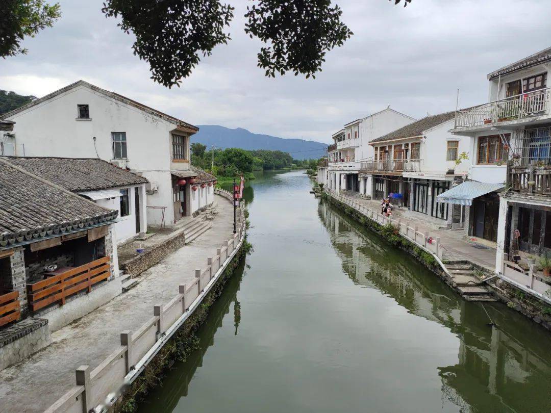 【followme游温州】平阳鸣山村,塘河第一湾