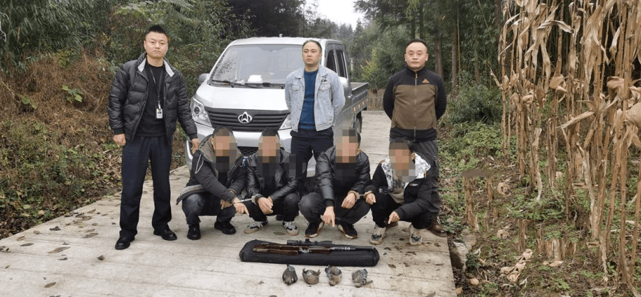 利川6人打斑鸠,被抓了!_谭某_气枪_花屋