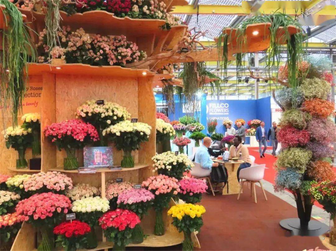 荷兰iftf国际花卉园艺展聚齐全球135家切花种植商 | 每周国际花讯