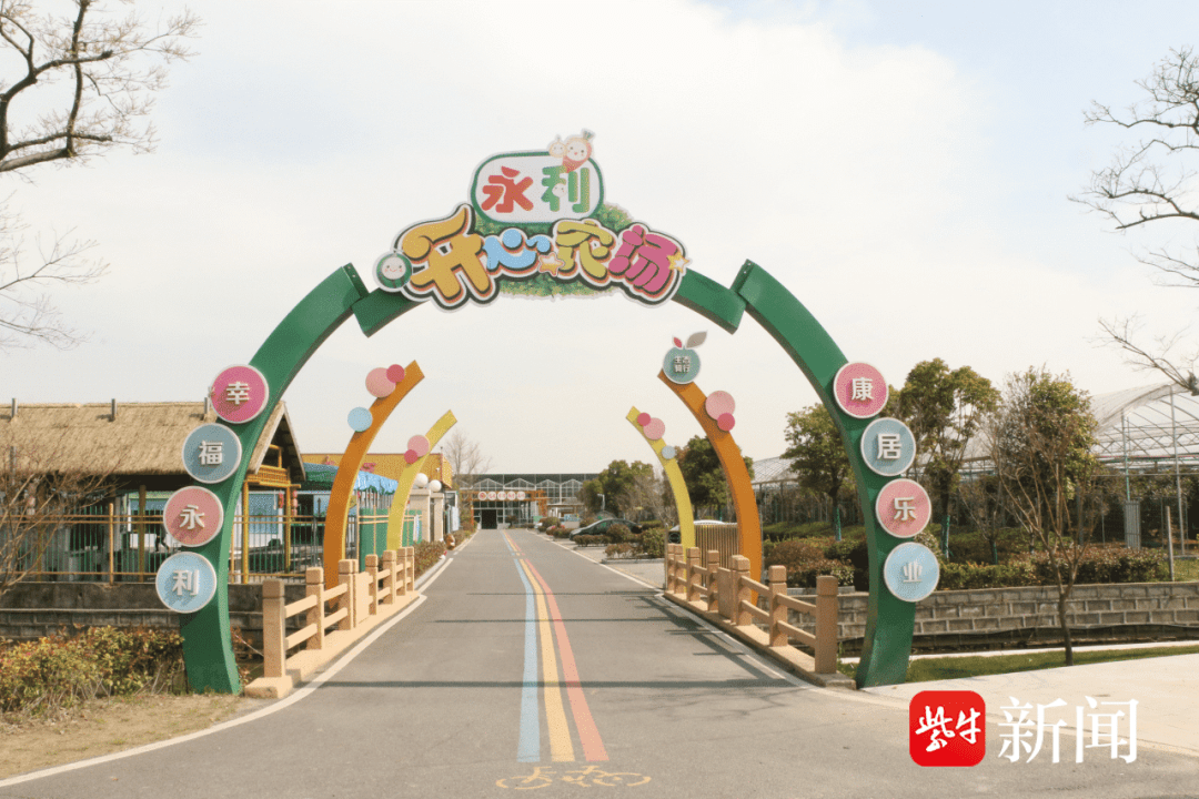 张家港市乐余镇永利村:找准靶向,精准发力,打造现代化新农村_发展