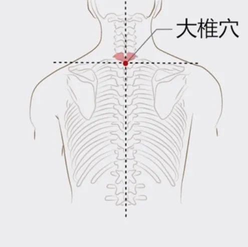 皮膚5釐米處,用艾條艾灸10-15分鐘,具有防治感冒,肺炎,支氣管炎的作用