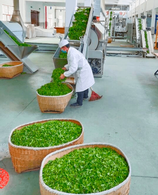 恩施市_城市_谭华