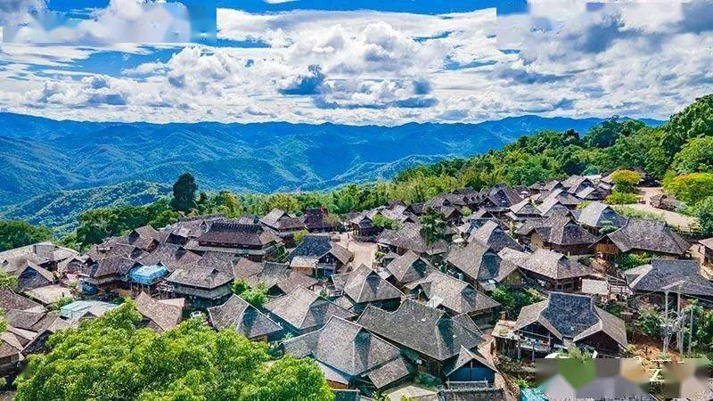 育见| 13年的景迈山申遗之路._茶林_茶树_主题世界