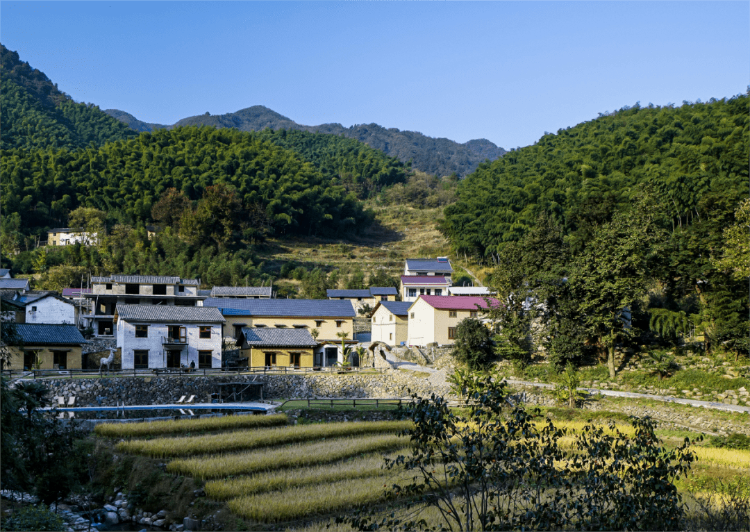 浙韵千宿系列 | 在江南,邂逅一场冬日的浪漫_莪山畲族乡_生活_暖意
