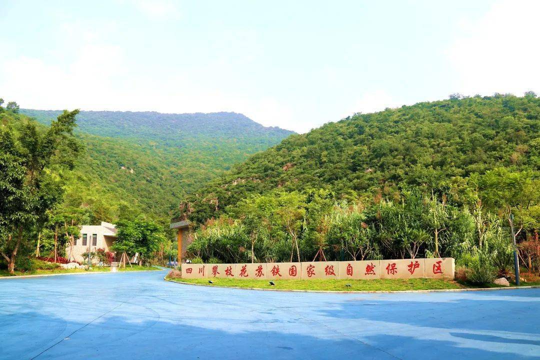 攀枝花市西区:水清岸绿生态好 候鸟蹁跹入画来_保护_鸟类_谢明