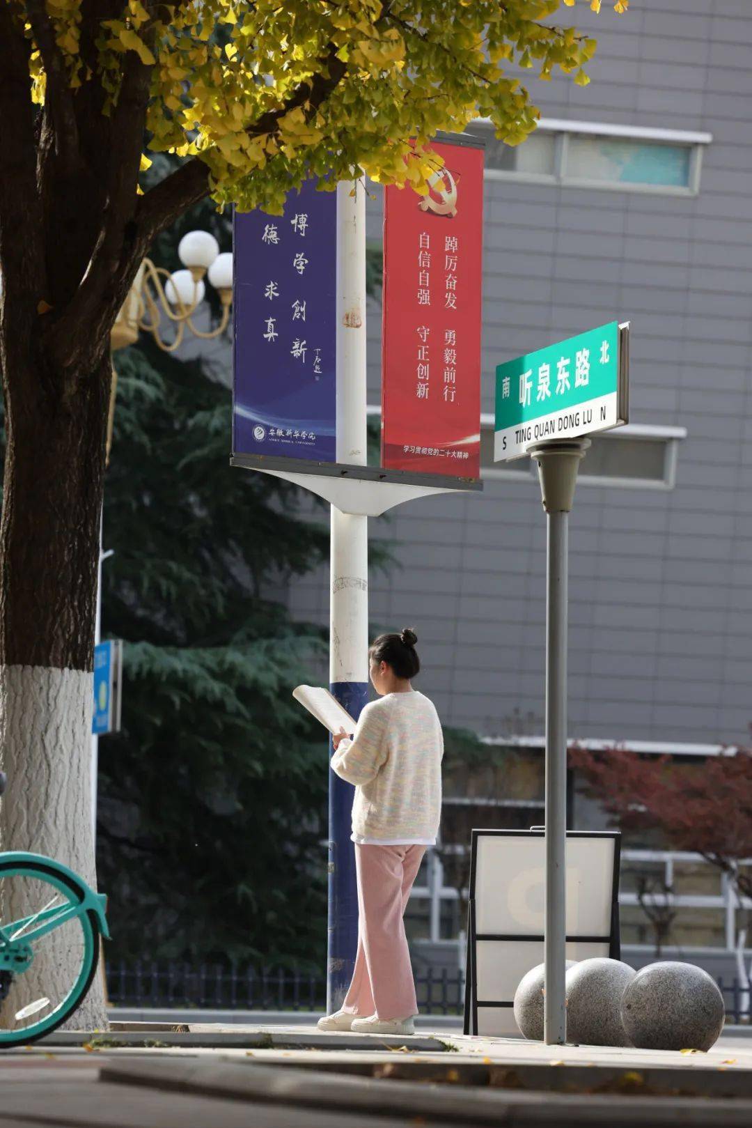 在新華園,邂逅金色的浪漫_小雪_冬日_迎風