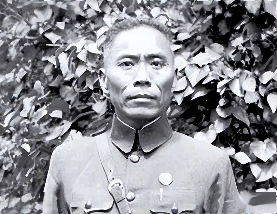 坎坷的一个军:全军上下无一人在55年授衔时获得军衔_沈克_谷雄一_赫光