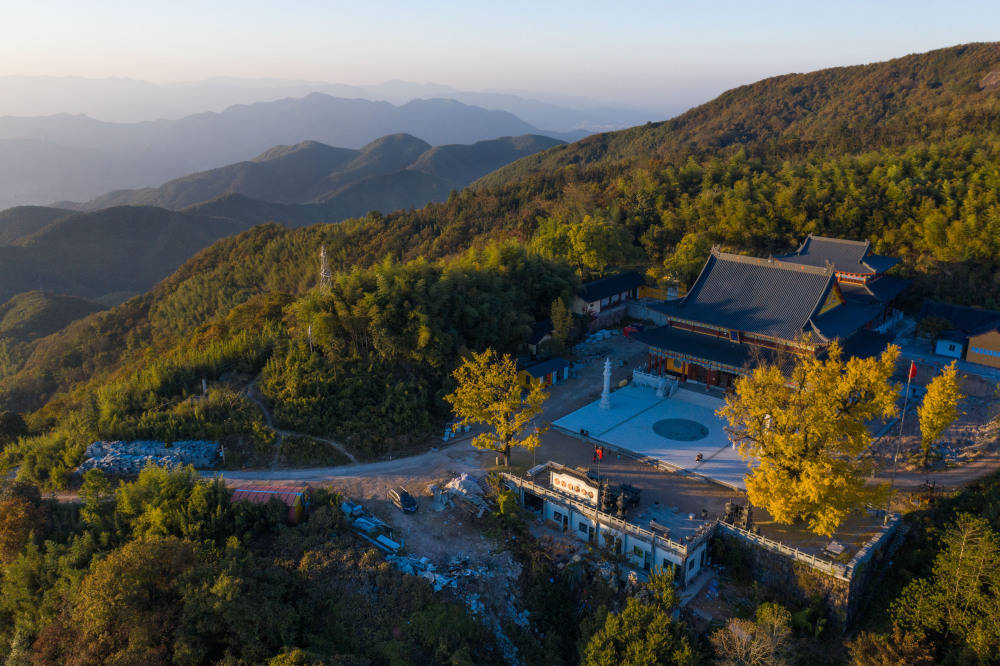 诸暨市店口镇杭坞山顶的古银杏树叶金黄,吸引游人观赏(11月21日摄).