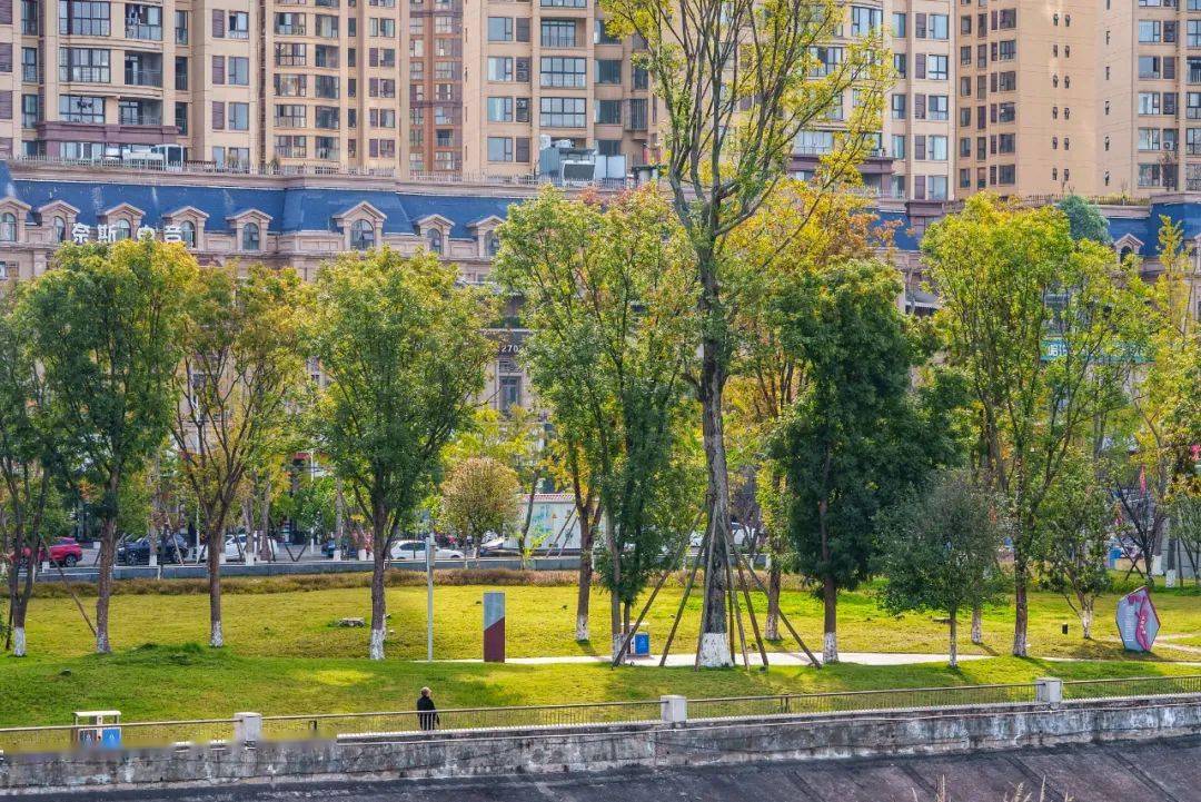 【图说·简阳】一起邂逅当下滨江美景_城市_鄢伟_滨江路