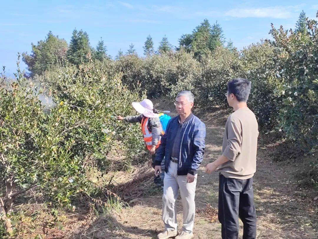 人才福州月 | "永向未来 泰汇英才"永泰县人才系列活动(三)_发展_科技