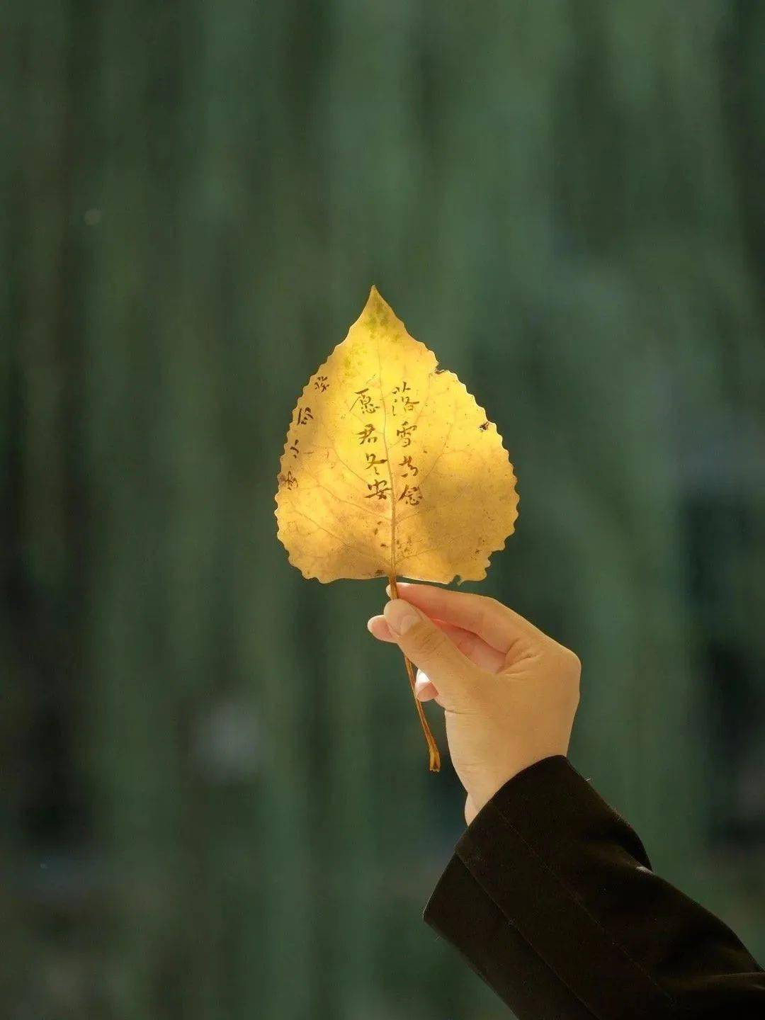 历经山河,人间值得_开心_生活