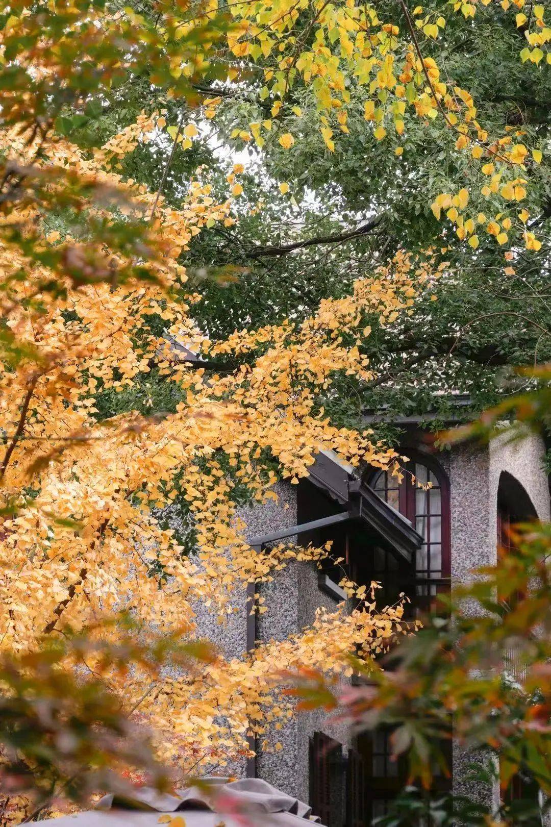 这些地方的“美拉德风”，与上海秋日氛围适配度100%！