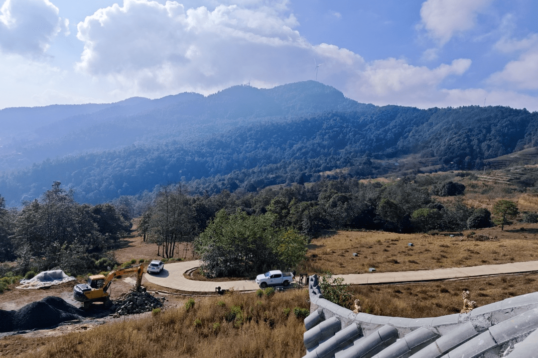 站在这里,瞭望八万亩莽莽林海_前进镇_监测_主体