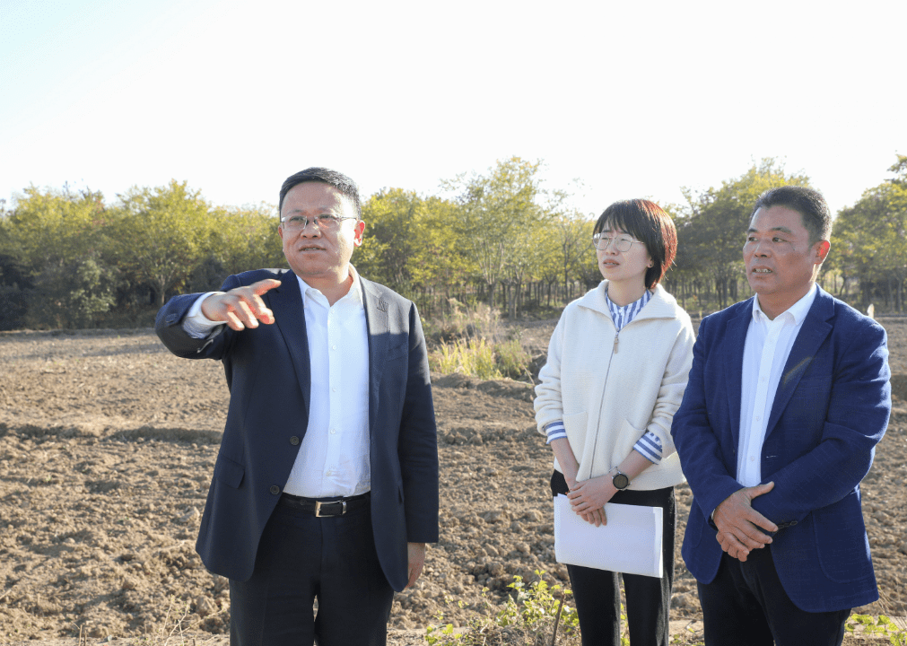 裘建勇在崇仁镇调研时强调:优化产业结构 释放发展动能 合力推动崇仁