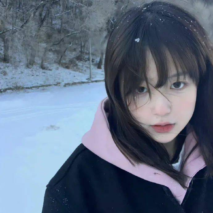 头像这组ins限定头像真的太爱啦676767