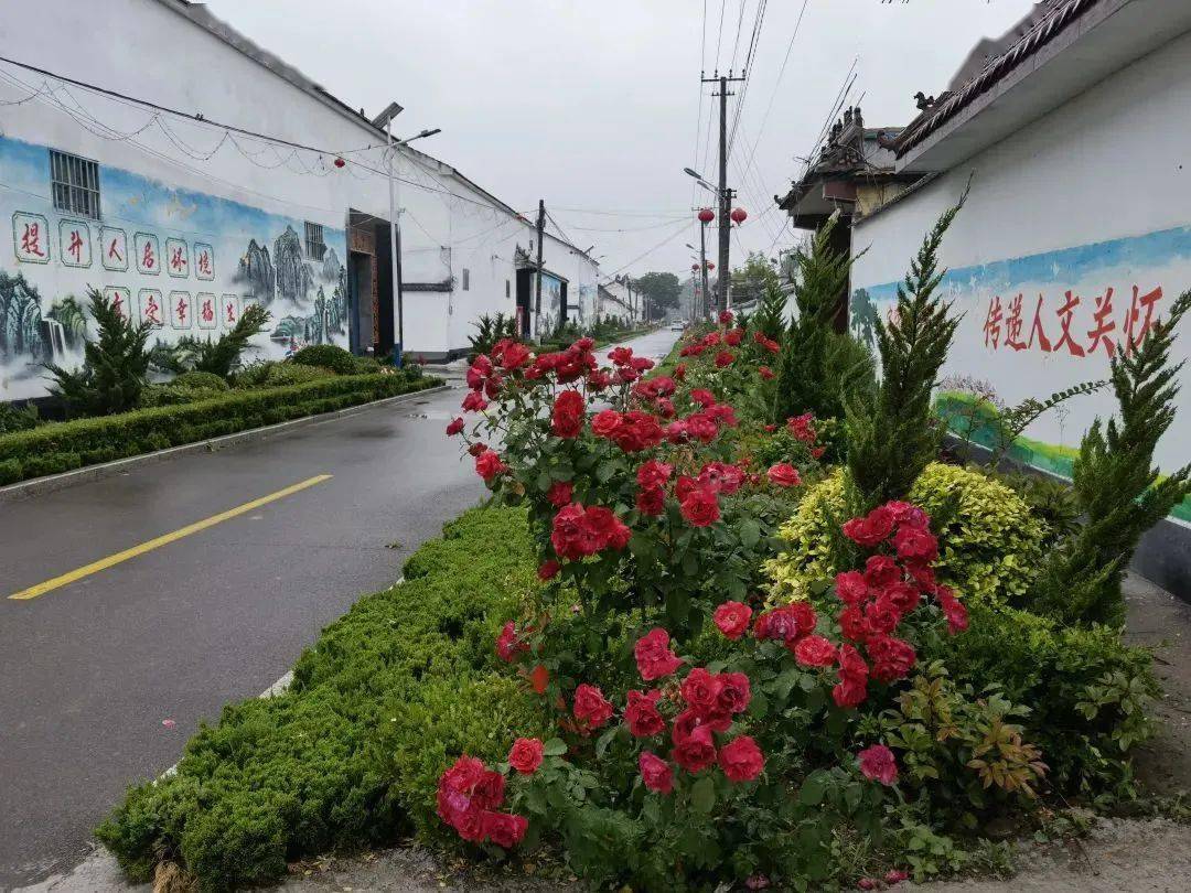 【乡村文化振兴】巨野县柳林镇:文明实践集聚带 引领乡风文明新风尚