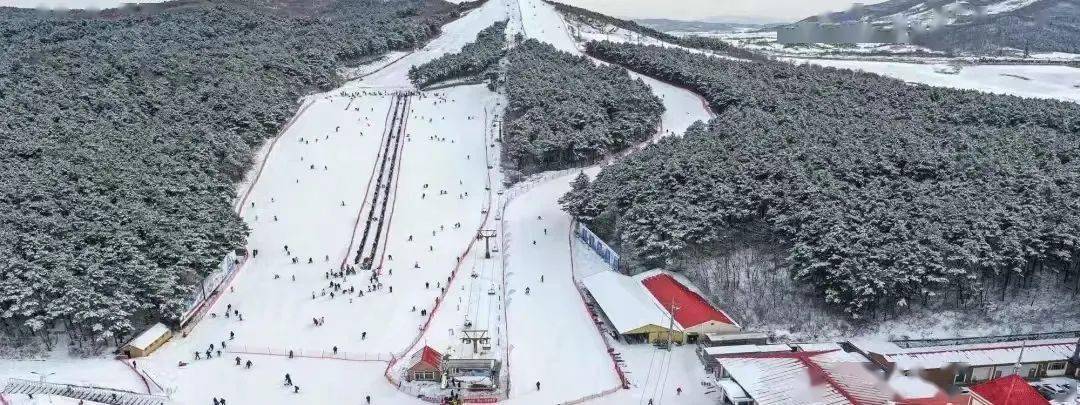 本週末,瀋陽四大滑雪場全部開業!_演出_票價_看點