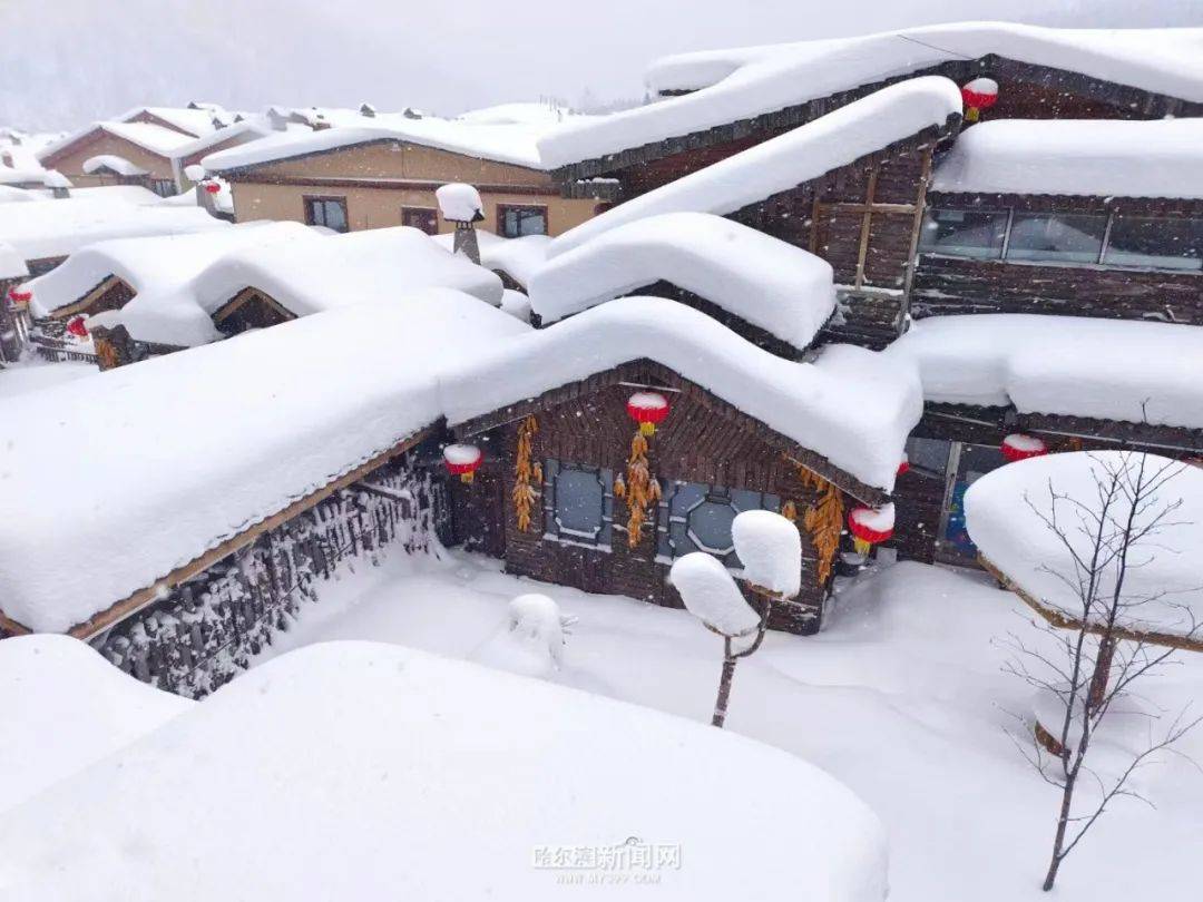 多個景區今冬逐步開園迎客,雪鄉,雪谷,雪村,鳳凰山等眼下,作為大型國