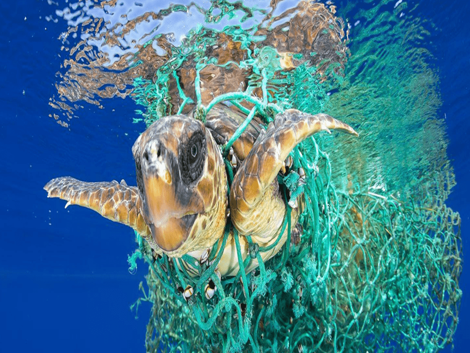 新闻8点见丨专访吴莫愁谈如何保持热爱;如何拯救海洋生物?