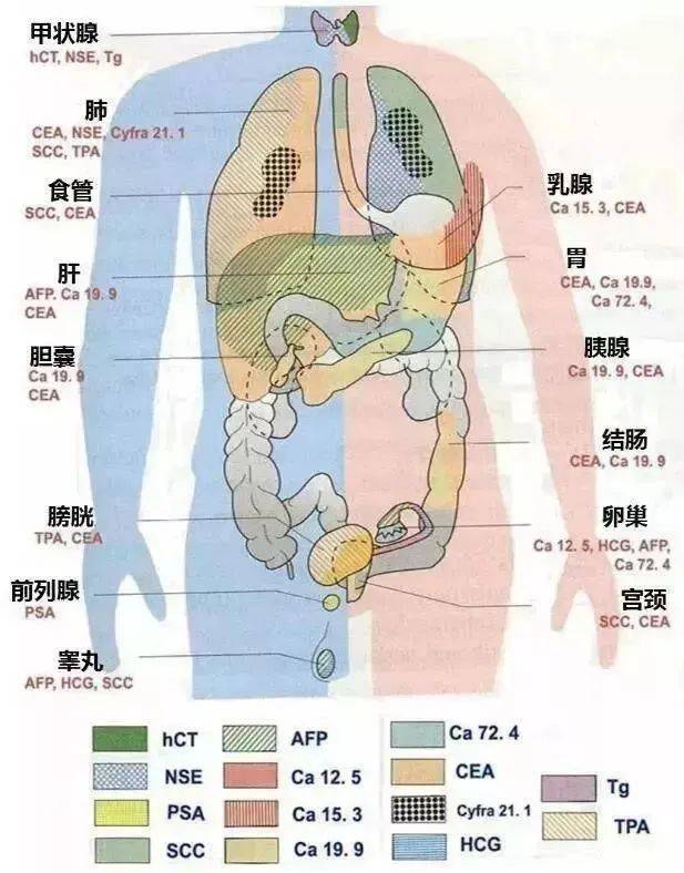 二院專家說 | 體檢報告中的這個指標升高,千萬要多